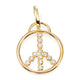 Peace Charm